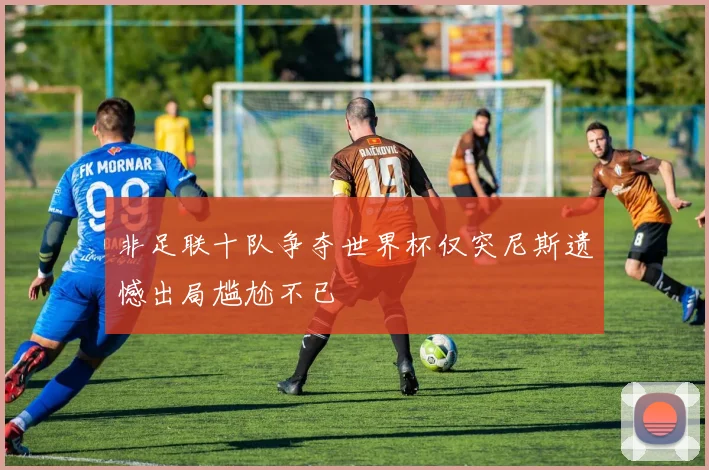非足联十队争夺世界杯仅突尼斯遗憾出局尴尬不已
