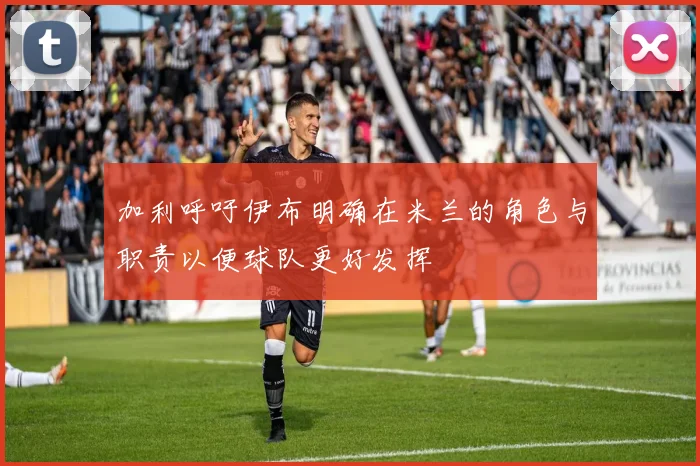 加利呼吁伊布明确在米兰的角色与职责以便球队更好发挥
